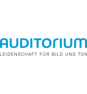 SoundDays auditorium